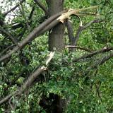 1507G 47 Fulda Radweg